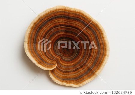 Concentric rings and natural texture of a dried polypore mushroom cap isolated on white background for botanical design concepts, AI Generative 132624789