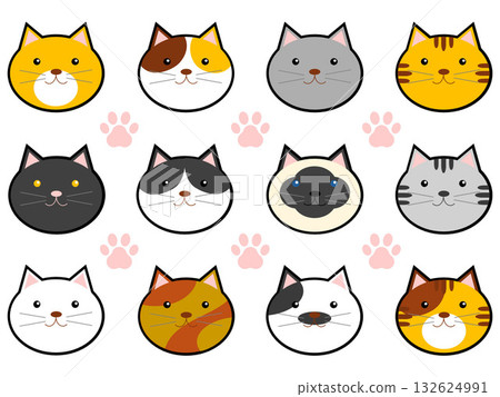 12 kinds of animal (cat) face stamps 12 kinds of animal (cat) face stamps 132624991