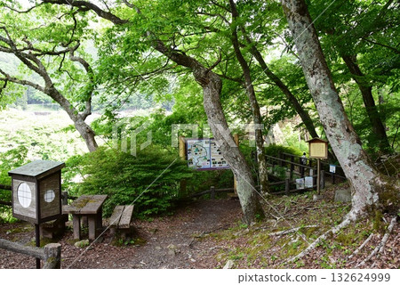Nikko City Kawaji Onsen: Hydrangea Park Walking Path and Kawaji Onsen Information Board Nikko City Kawaji Onsen: Hydrangea Park Walking Path and Kawaji Onsen Information Board 132624999
