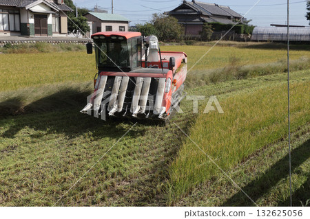 水稻雙季種植的復興 水稻雙季種植的復興 132625056