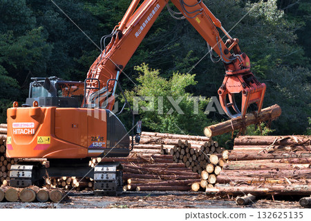 在山區的木材收集點堆放原木 132625135