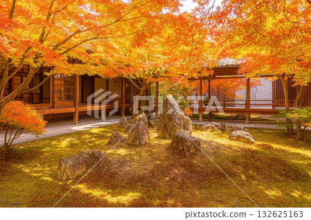 建仁寺、春庭、畫框庭園、秋葉 建仁寺、春庭、畫框庭園、秋葉 132625163