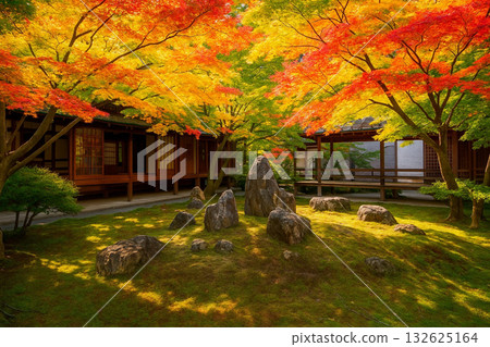 建仁寺、春庭、畫框庭園、秋葉 建仁寺、春庭、畫框庭園、秋葉 132625164