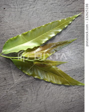 Close-up of vibrant green leaves with serrated edges, showcasing intricate veins and a textured surface Close-up of vibrant green leaves with serrated edges, showcasing intricate veins and a textured surface 132625198