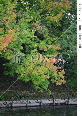 Early autumn at Takaoka Castle Park Early autumn at Takaoka Castle Park 132625423