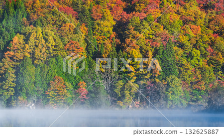 中綱湖（秋季） 132625887