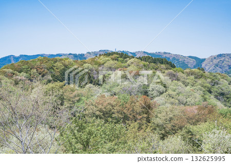 茨城縣，從助川山頂向高鈴山（日立市）方向 132625995