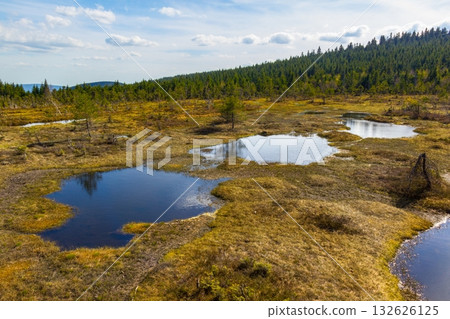 Peat Bog Landscape, Izera Mountains, Czech Republic 132626125