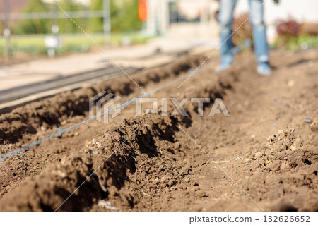 Man digs ground for planting crops. Hands of man who cultivated beds for planting vegetables and greenery. Eco farm products. High quality photo 132626652