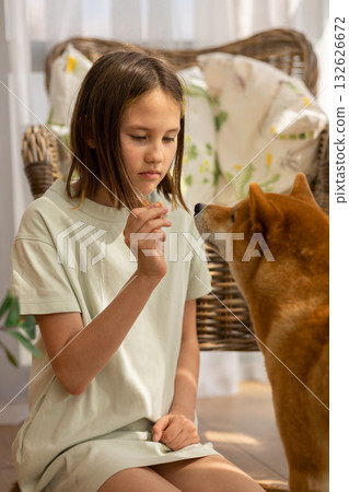 Portrait of little girl playing with her dog husky on sunny day. High quality photo 132626672