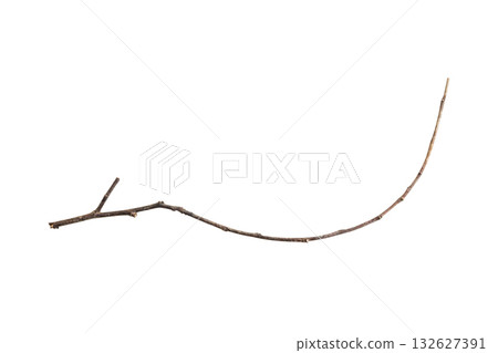 Dry tree branches isolated on white background Dry tree branches isolated on white background 132627391