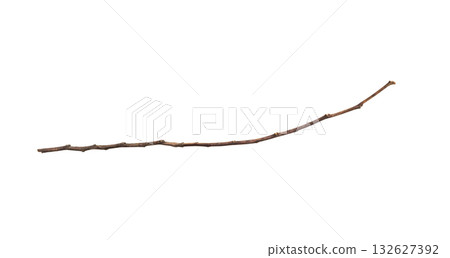 Dry tree branches isolated on white background Dry tree branches isolated on white background 132627392