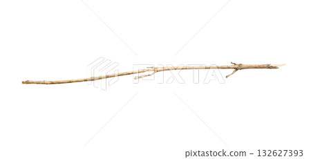 Dry tree branches isolated on white background 132627393