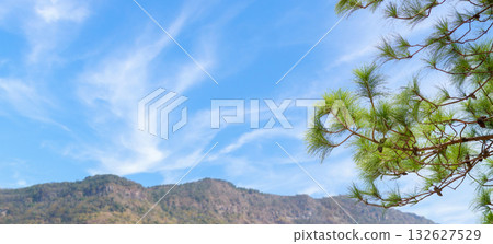 pine leaves with mountain beautiful clouds and blue sky background 132627529