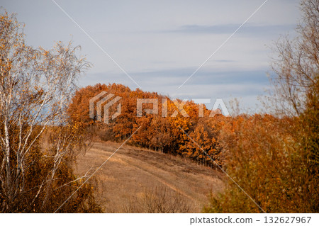 Incredibly beautiful view of the hills and autumn forest. 132627967