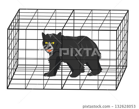 危險的野生熊 132628053