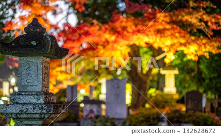 祖先墳墓的石頭紀念碑 132628672