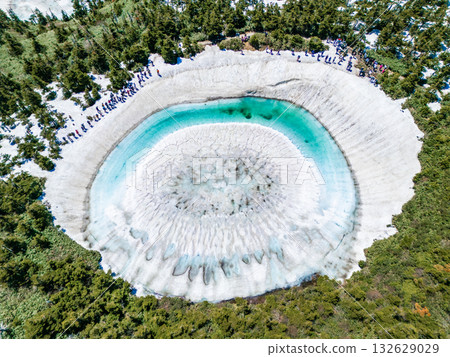 龍眼 龍眼 132629029