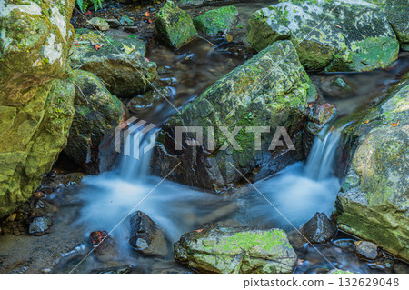 Settsu Gorge, a famous spot in Takatsuki City 132629048