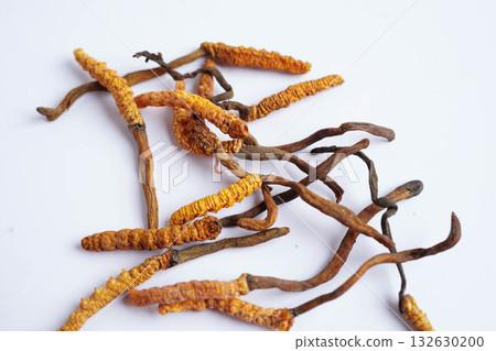 Cordyceps sinensis or Ophiocordyceps sinensis isolated on white background, mushroom herb treatment medicine. Cordyceps sinensis or Ophiocordyceps sinensis isolated on white background, mushroom herb treatment medicine. 132630200