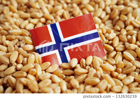 Iceland flag on grain wheat, trade export and economy concept. 132630239