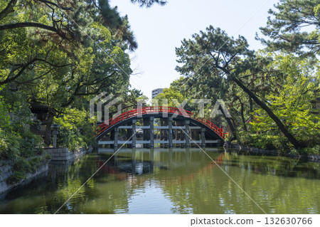The red arched bridge at Sumiyoshi Taisha Shrine The red arched bridge at Sumiyoshi Taisha Shrine 132630766