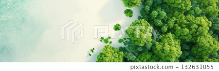 Aerial view of green trees and white sand beach Aerial view of green trees and white sand beach 132631055