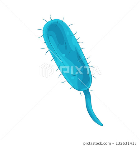 Illustration of bacteria 132631415