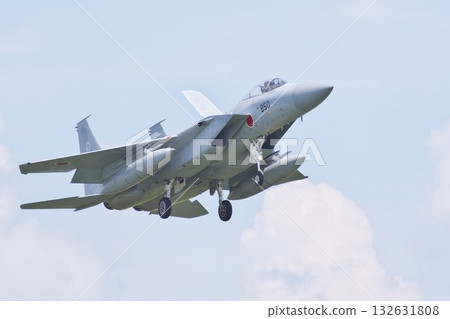 303rd Squadron F-15J preparing to land 303rd Squadron F-15J preparing to land 132631808