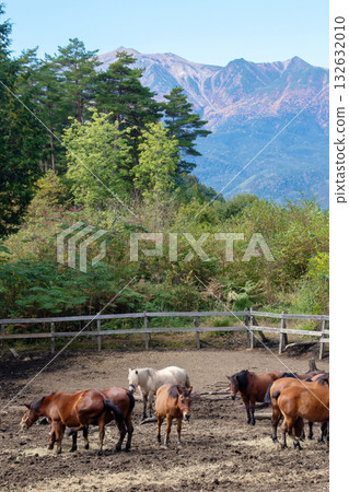 Kiso Horse Village, Nagano Prefecture 132632010