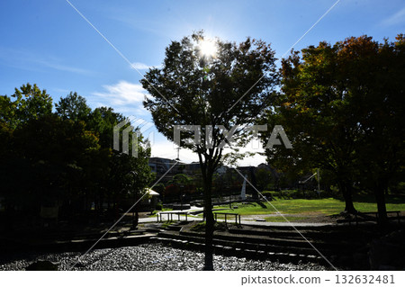 清水坂公園_09 132632481