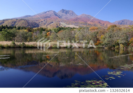 Autumn foliage of Mt. Myoko seen from Imori Pond Autumn foliage of Mt. Myoko seen from Imori Pond 132632614
