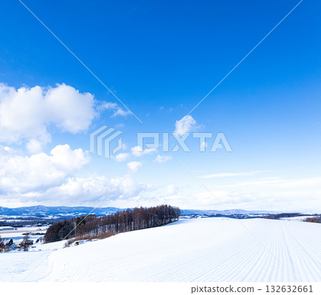 冬季北海道美瑛的雪景 冬季北海道美瑛的雪景 132632661