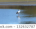 鸛鳥風景 132632787