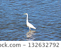 湖上的大白鷺 132632792