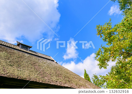 Autumn Michinoku Lakeside Park: Autumn leaves, kochia and old houses Autumn Michinoku Lakeside Park: Autumn leaves, kochia and old houses 132632916