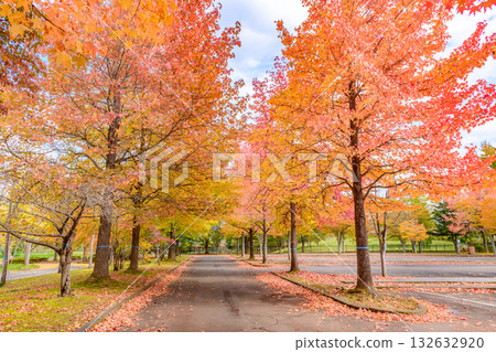 秋天的米奇諾庫湖濱公園:秋葉、掃把草和老房子 秋天的米奇諾庫湖濱公園:秋葉、掃把草和老房子 132632920