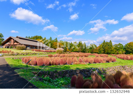 秋天的米奇諾庫湖濱公園：秋葉、掃把草和老房子 132632946