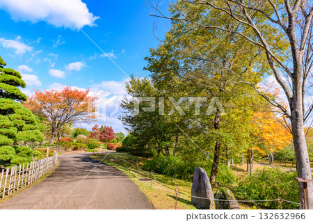 秋天的米奇諾庫湖濱公園:秋葉、掃把草和老房子 秋天的米奇諾庫湖濱公園:秋葉、掃把草和老房子 132632966