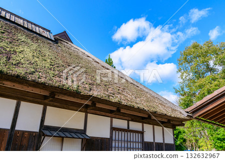Autumn Michinoku Lakeside Park: Autumn leaves, kochia and old houses Autumn Michinoku Lakeside Park: Autumn leaves, kochia and old houses 132632967