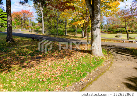 Autumn Michinoku Lakeside Park: Autumn leaves, kochia and old houses 132632968