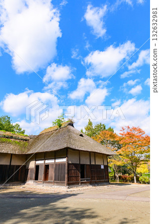 Autumn Michinoku Lakeside Park: Autumn leaves, kochia and old houses Autumn Michinoku Lakeside Park: Autumn leaves, kochia and old houses 132632981