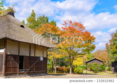 秋天的米奇諾庫湖濱公園：秋葉、掃把草和老房子 132632982