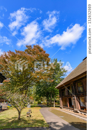 秋天的米奇諾庫湖濱公園：秋葉、掃把草和老房子 132632989