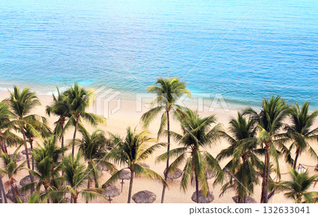 Aerial view on palms, ocean waves and beach, Acapulco de Juarez, Mexico, North America. Palm trees, beach, Pacific Ocean. Beautiful scene with seascape. Topic of summer vacation, travel, cruises, tour 132633041