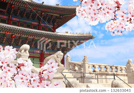 Sakura flowers and stone figures of mythical creatures, Geunjeongjeon Hall, Gyeongbokgung Palace Complex, Seoul, South Korea. Main throne hall and branch of blooming sakura, Republic of Korea 132633043