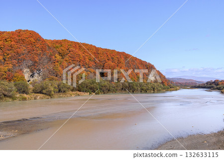 Autumn leaves along the Saru River in Biratori, Hokkaido (October) 132633115