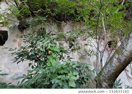 愛宕山洞窟墓，仙台市，宮城縣 132633193