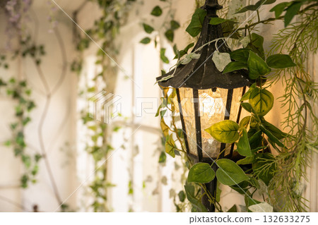 Houseplants hanging in the window Houseplants hanging in the window 132633275