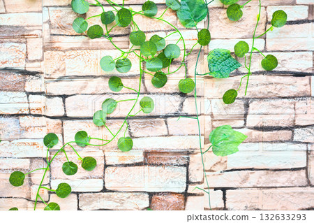 Ivy creeping on a brick wall background material Ivy creeping on a brick wall background material 132633293
